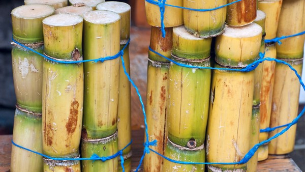 巴特日七味丸神奇功效是什么 七味新消丸效果好吗