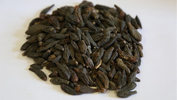 藏青果喉片治疗咽喉炎效果好吗？