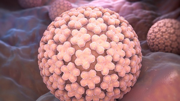 清肝二十七味丸具有些功效呢 清肝二十七味丸是抗病毒的药吗