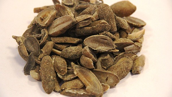 郁金银屑片能长期吃吗 郁金银屑片与布洛芬可以一起吃吗