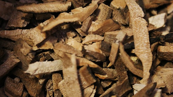 临江风药什么时间段使用效果好？