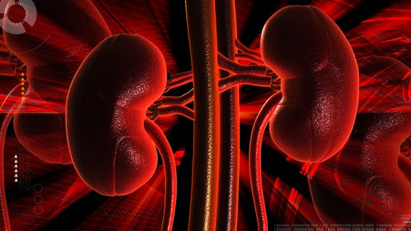 盐酸多奈哌齐有什么区别的吗？