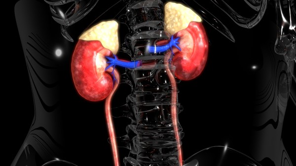 王叔和雷丸片副作用有哪些？