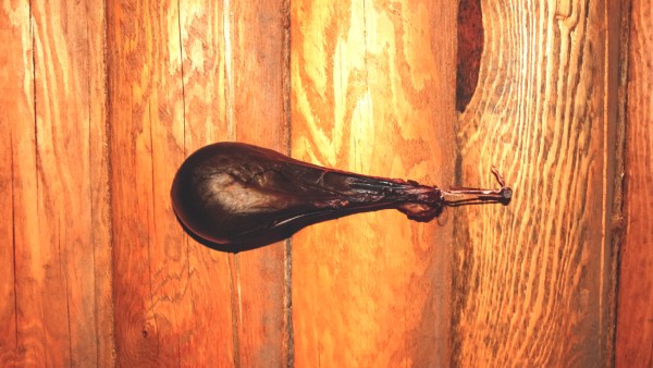 熊胆胶囊是抗病毒的药吗 熊胆粉胶囊有什么功效疗效怎么样？