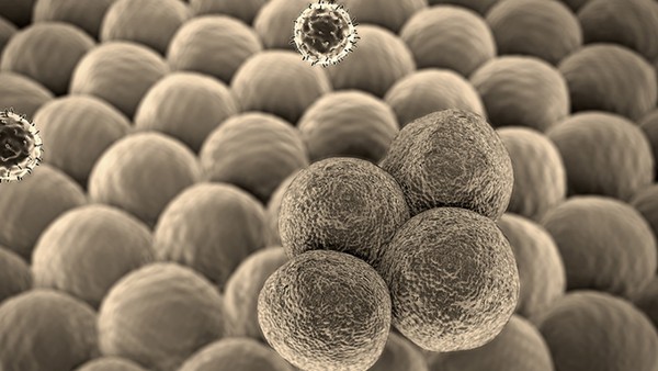 吉祥安坤丸是抗病毒的药吗 吉祥安坤丸说明书内容有哪些