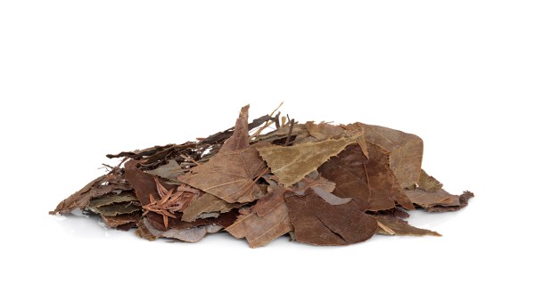 阳春玉液功效怎么样呢？能长期服用吗？