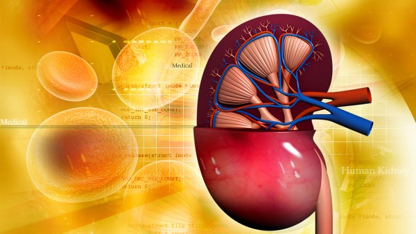 盐酸非索非那定片效果好吗?