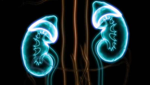 慢性肾炎患者感染新冠怎么办 肾炎片对新冠有用吗