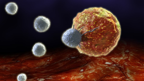 复方鲜竹沥液的成分的作用是什么 复方鲜竹沥液是抗病毒的药吗