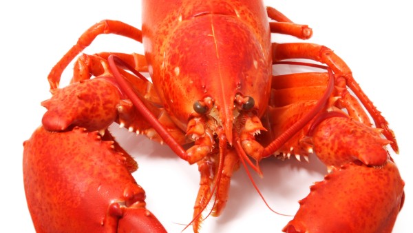 生冷食物会对腰痛片有什么影响？