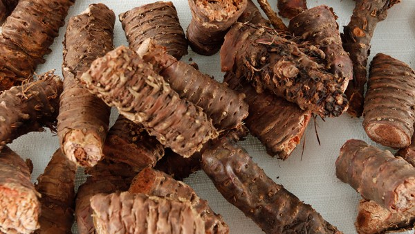 大株紅景天膠囊的藥理作用是什么？是處方藥嗎？