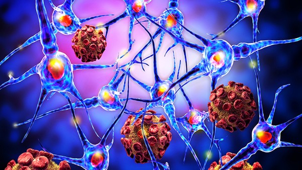 健胃片功效与作用是什么 新健胃片抗病毒吗