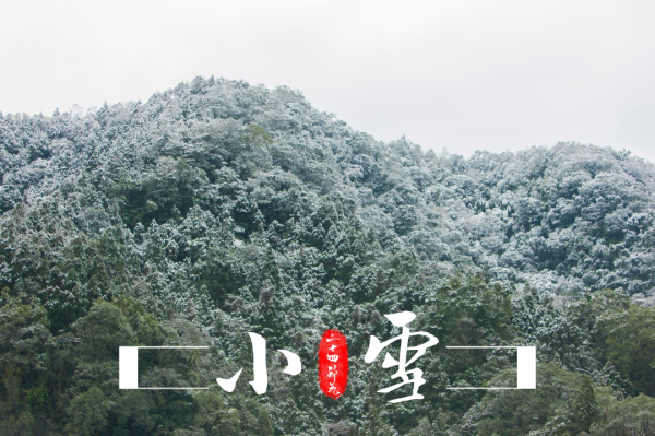 雪梨膏有什么功效呢？