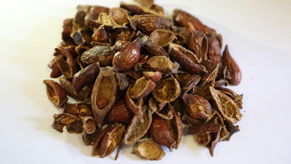 生精片(万胜)中的金樱子有什么作用？