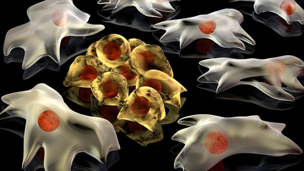 六神丸是抗病毒药物吗 可以同时服用六神丸和抗病毒口服液吗？