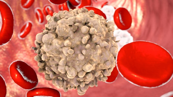 健脾益肾颗粒(无蔗糖型)和地榆升白片哪个升白细胞效果好？