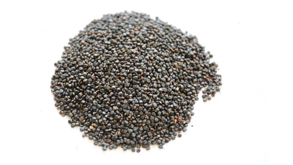 沈陽的紅藥乳癖消片價格是多少錢?有什么作用?