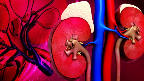 盐酸氮卓斯汀片的功能主治有哪些呢？