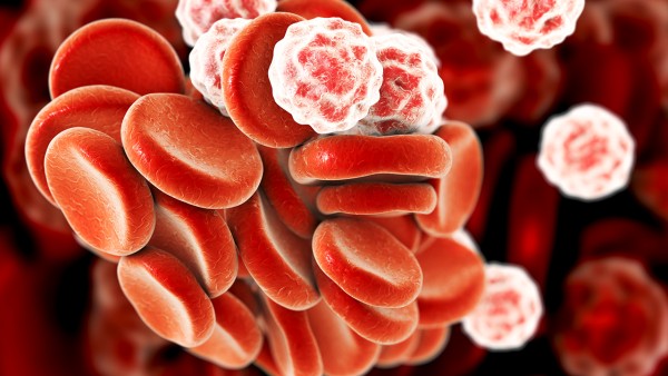 王叔和雷丸片功效如何？