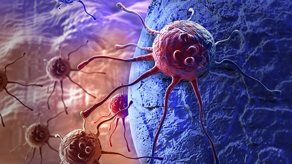 鼻咽灵片抗病毒吗 孟鲁司特钠片能治疗鼻咽炎吗