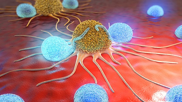 贝诺酯片是抗病毒的药吗 贝诺酯片(金迪卡)是主治什么？